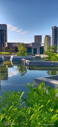 Dairy Farm Residences (D23), Apartment #560482411